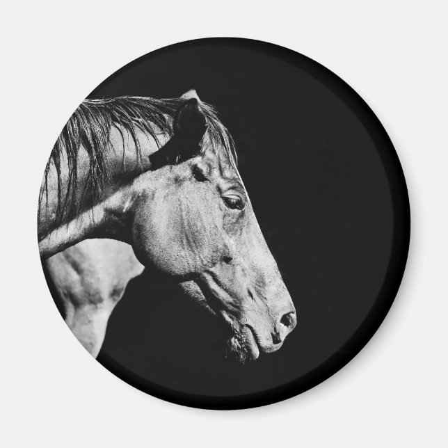 head horse's leg magnet (Front)