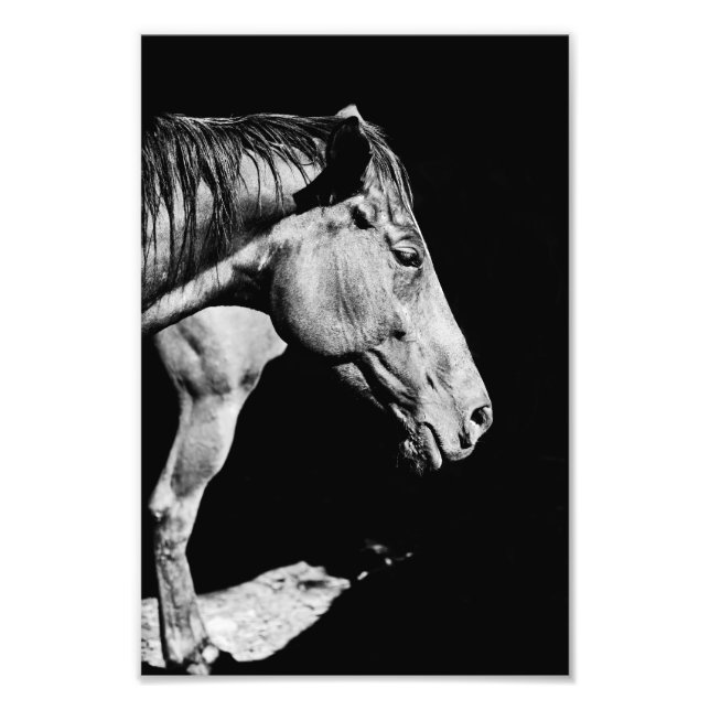 head horse's leg photo print (Front)