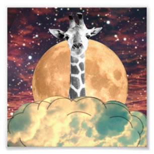 Head In a Cloud Photo Print