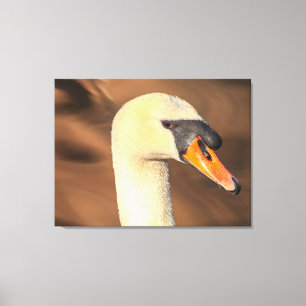 Head Mute Swan Portrait Canvas Print