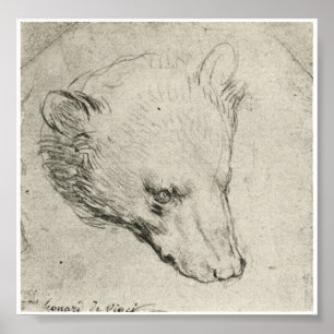 Head of a Bear, Leonardo Da Vinci Poster