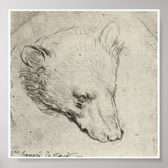 Head of a Bear, Leonardo Da Vinci Poster (Front)