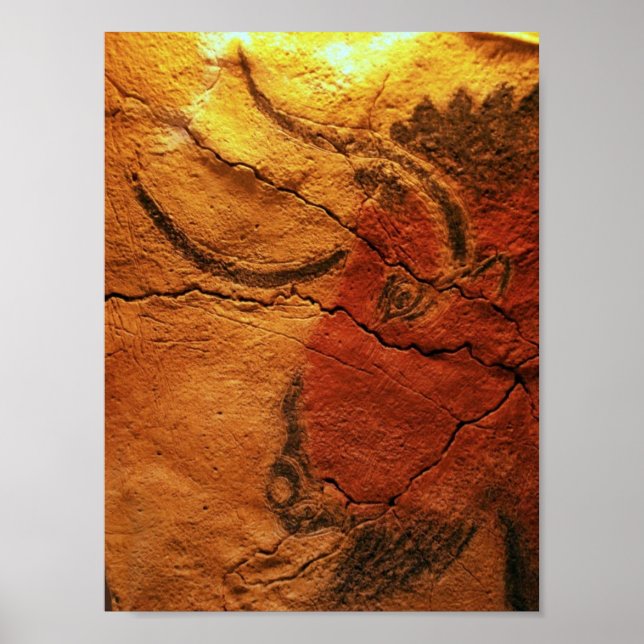 Head of a bison Altamira Cave Poster (Front)