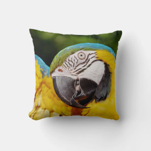 Head of a Blue and Yellow Macaw  Cushion