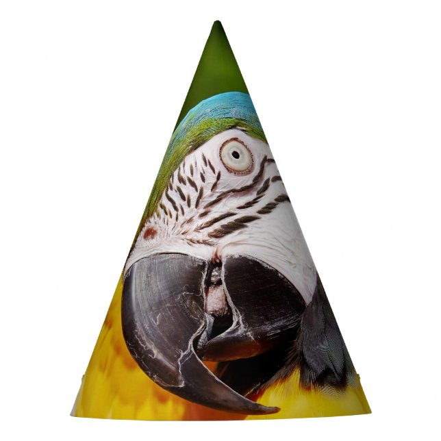 Head of a Blue and Yellow Macaw  Party Hat (Front)