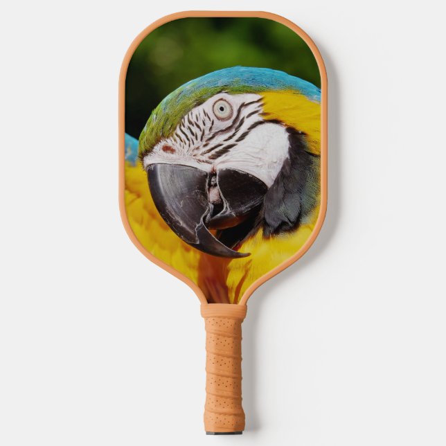Head of a Blue and Yellow Macaw  Pickleball Paddle (Front)