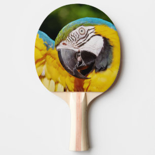 Head of a Blue and Yellow Macaw  Ping Pong Paddle