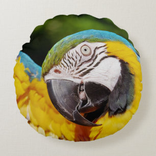 Head of a Blue and Yellow Macaw  Round Cushion