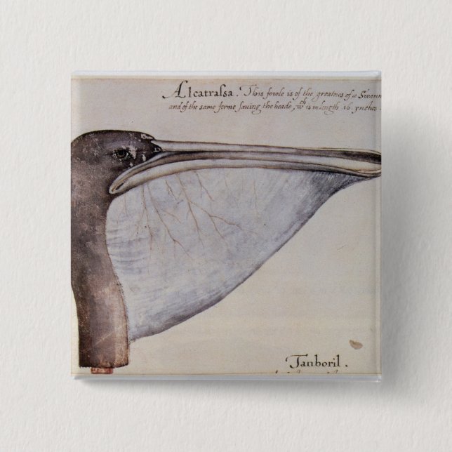 Head of a Brown Pelican 15 Cm Square Badge (Front)