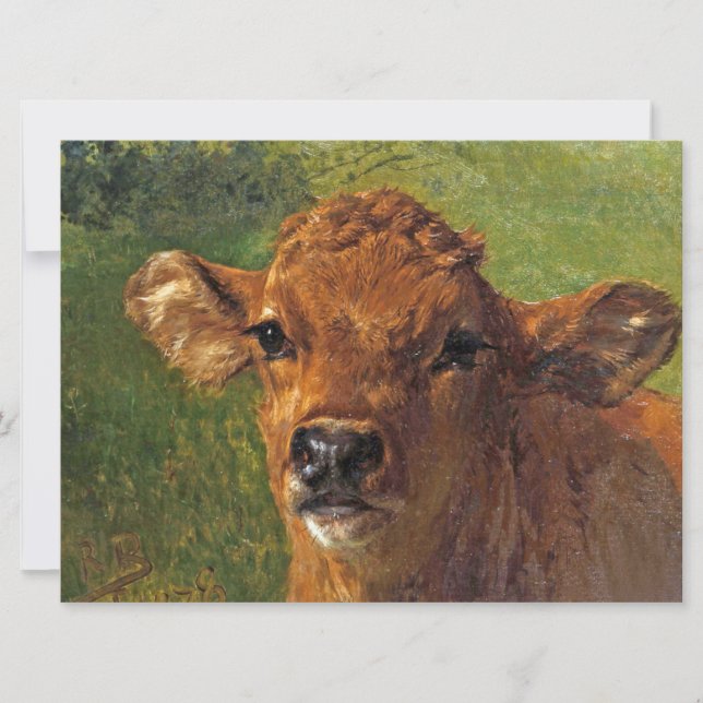 Head of a Calf (by Rosa Bonheur) Card (Front)