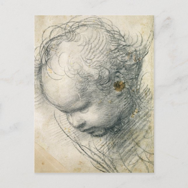 Head of a Cherub Postcard (Front)