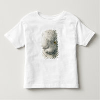 Head of a Cherub