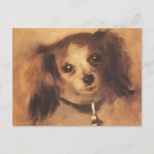 Head of a Dog by Pierre Renoir, Vintage Fine Art Postcard