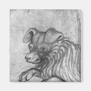 Head of a dog, from the The Vallardi Album Magnet