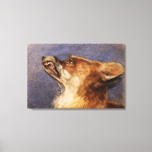 Head of a Fox Canvas Print