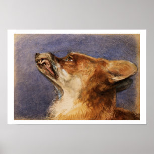 Head of a Fox Poster