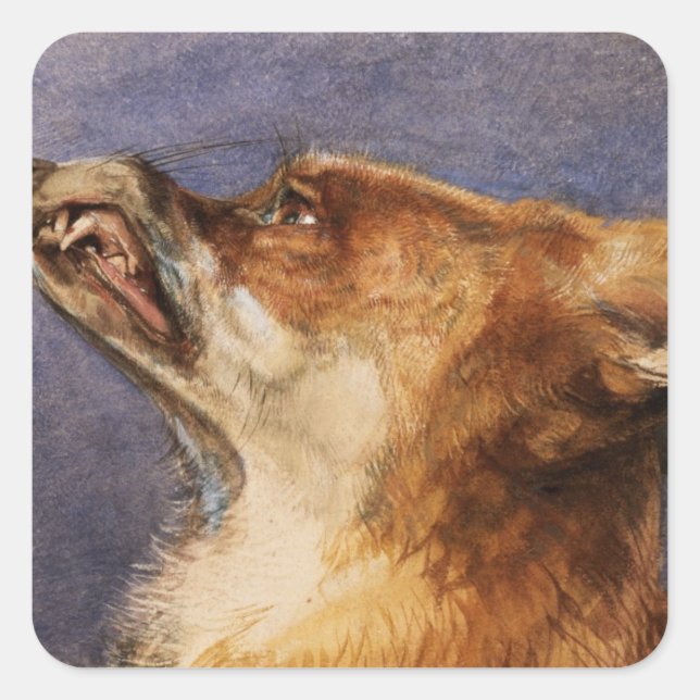 Head of a Fox Square Sticker (Front)