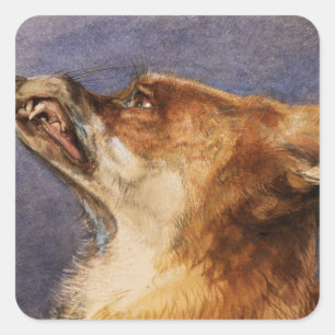 Head of a Fox Square Sticker