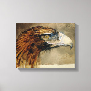 Head of a Golden Eagle (by John Ruskin) Canvas Print