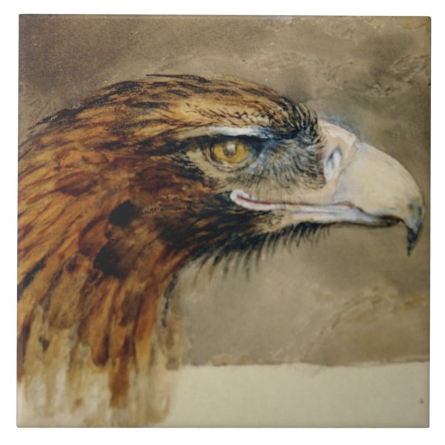 Head of a Golden Eagle (by John Ruskin) Tile (Front)