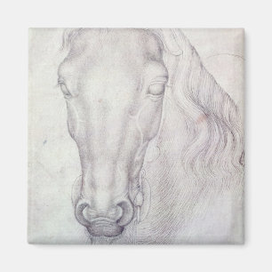 Head of a Horse Magnet