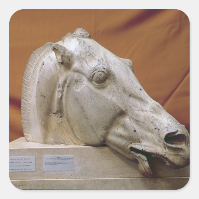 Head of a Horse of Selene Square Sticker (Front)