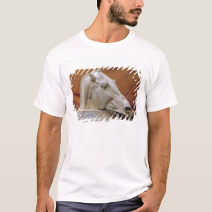 Head of a Horse of Selene T-Shirt