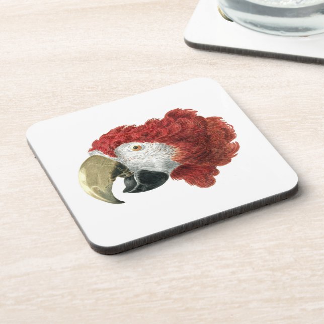 Head of a Macaw (1725–1792) Aert Schouman Coaster (Left Side)