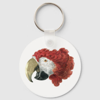 Head of a Macaw (1725–1792) Aert Schouman Key Ring