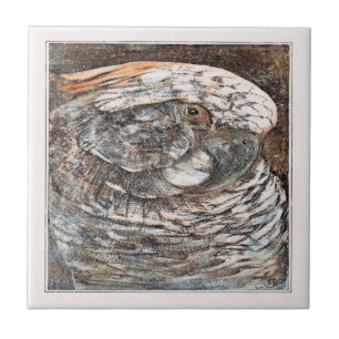 Head of a Parrot Victorian Art Tile