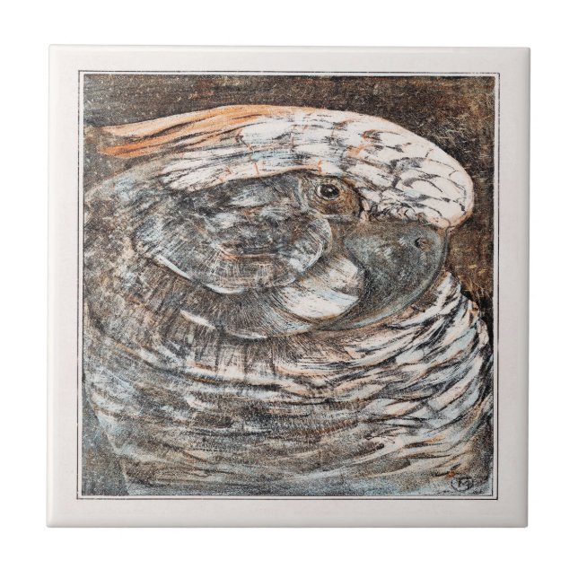 Head of a Parrot Victorian Art Tile (Front)