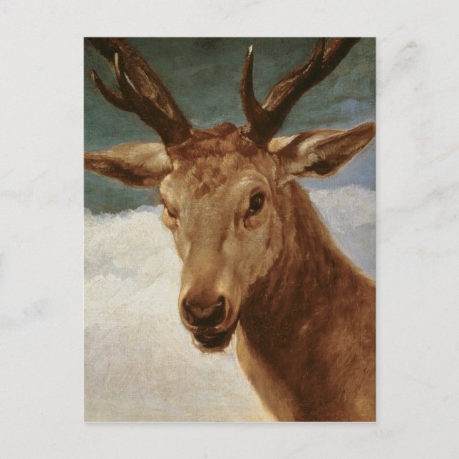 Head of a Stag, 1634 Postcard (Front)