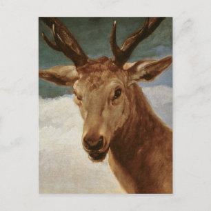 Head of a Stag, 1634 Postcard