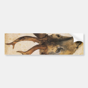 Head of a Stag (Wild Animal) (by Albrecht Durer) Bumper Sticker