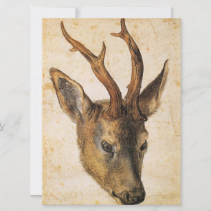 Head of a Stag (Wild Animal) (by Albrecht Durer) Card