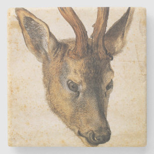 Head of a Stag (Wildlife) (by Albrecht Durer) Stone Coaster