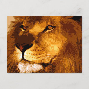 Head of African Lion Postcard
