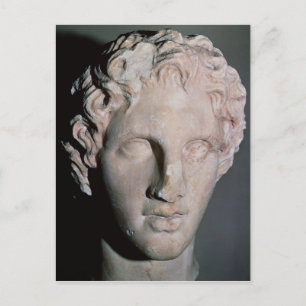 Head of Alexander the Great Postcard