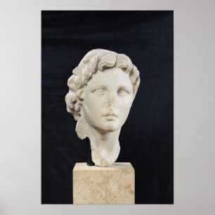 Head of Alexander the Great Poster