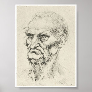 Head of an Old Man, Leonardo da Vinci Poster