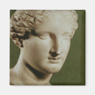Head of Artemis Magnet