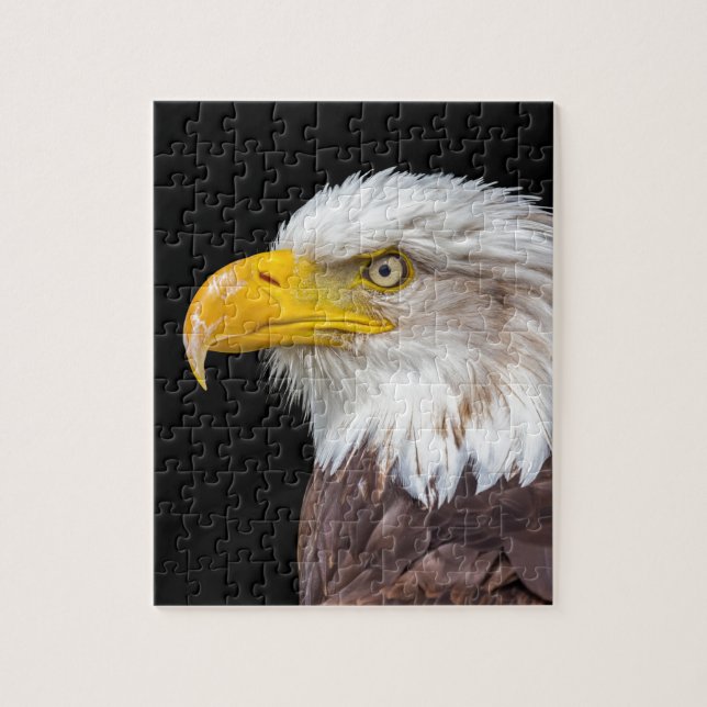 Head of bald eagle on black jigsaw puzzle (Vertical)