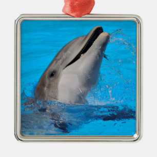 Head of  bottlenose dolphin metal tree decoration