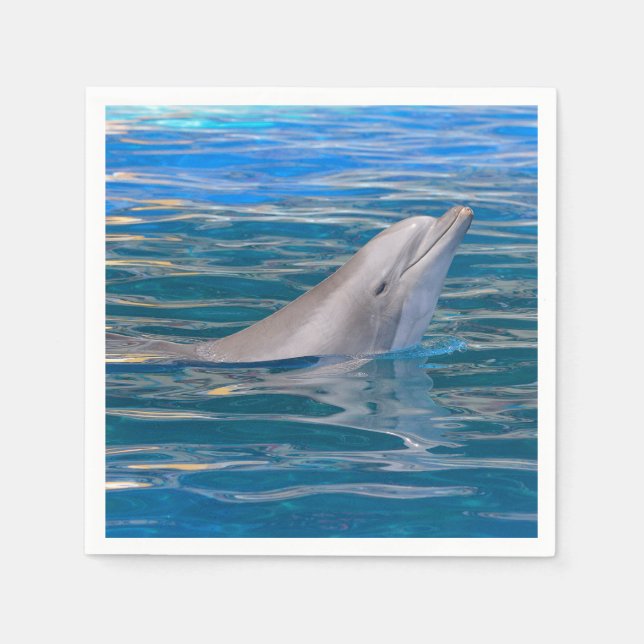 Head of bottlenose dolphin napkin (Front)