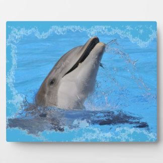 Head of  bottlenose dolphin plaque