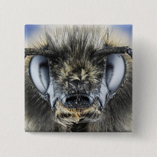 Head of bumblebee 15 cm square badge