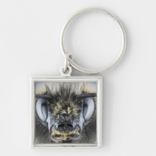 Head of bumblebee key ring