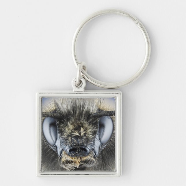 Head of bumblebee key ring (Front)