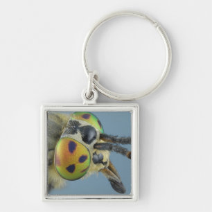 Head of deer fly key ring
