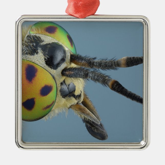 Head of deer fly metal tree decoration (Front)